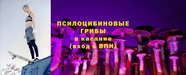 MDMA Новозыбков