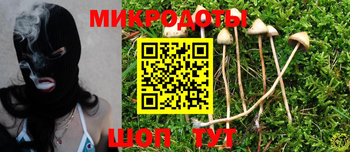 Анапа  хочу   Вход с VPN  Галлюциногенные грибы MAGIC MUSHROOMS  Псилоцибиновые грибы мухоморы 