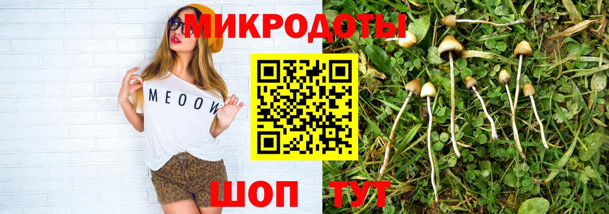 Псилоцибиновые грибы Psilocybe Анапа