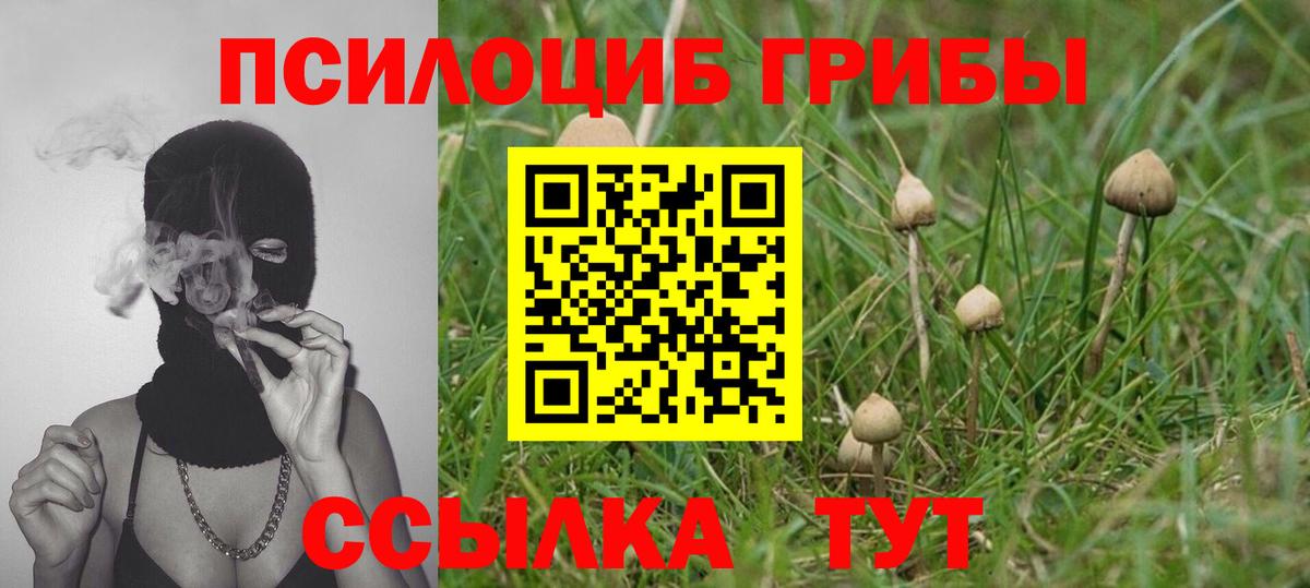 Псилоцибиновые грибы Анапа