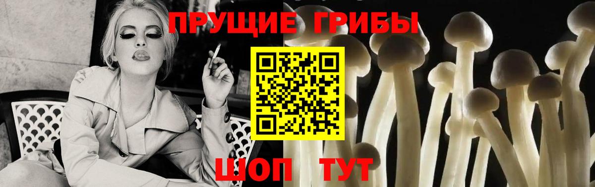 Псилоцибиновые грибы Psilocybe Анапа