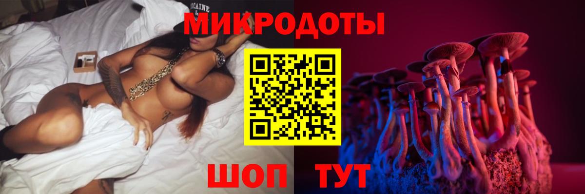 купить   Анапа  Галлюциногенные грибы мицелий 